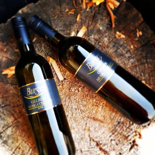 #wine #whitewine #muskateller #vino #bilevino #muskat #austria #austriawine #rakousko #wood #drevo #winetime #winelove...