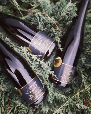 🥂 www.wineandmore.cz 🥂 #grunerveltliner #veltlinskezelene #wine #víno #whitewines #white #bile #bilevino #kamptal #ročník...